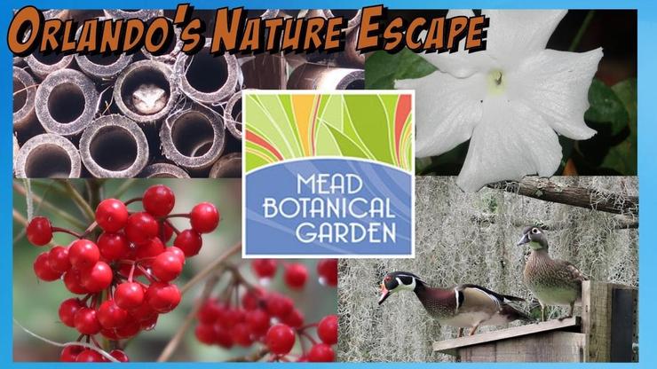 Mead Gardens